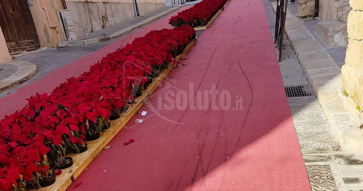 L'abbellimento natalizio nel degrado, segnalazioni dai lettori
