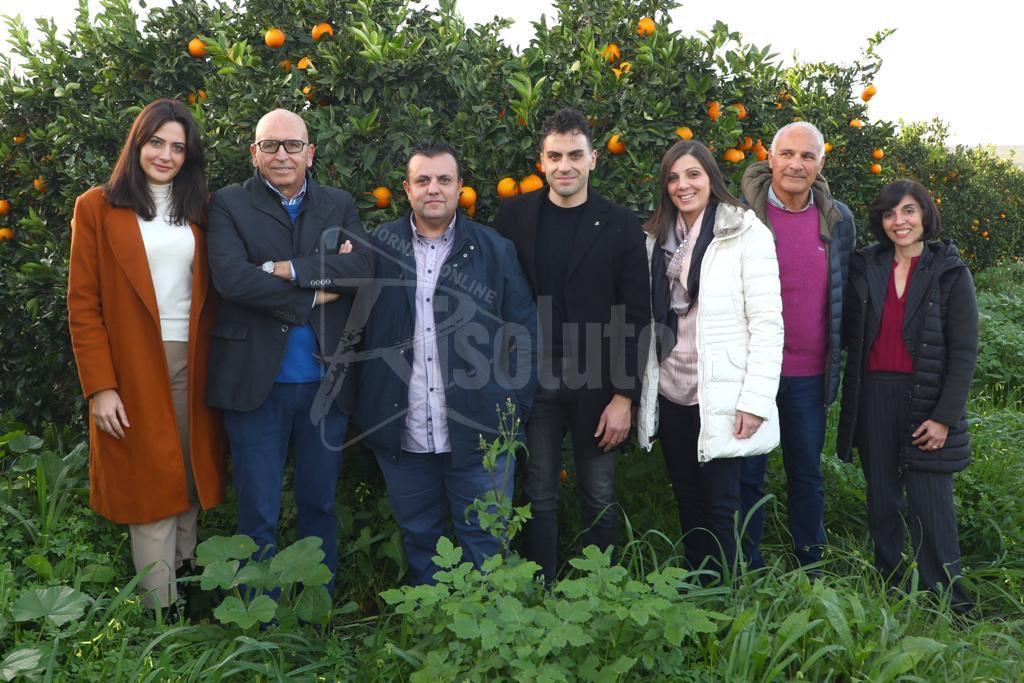 Rinnovato il consiglio di amministrazione del Consorzio di tutela Arancia di Ribera Dop