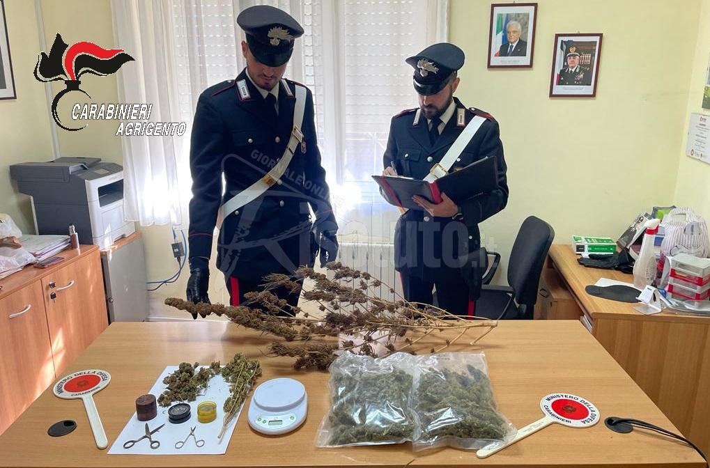 Nella casa di campagna produceva e confezionava droga, arrestato un ventottenne di Campobello