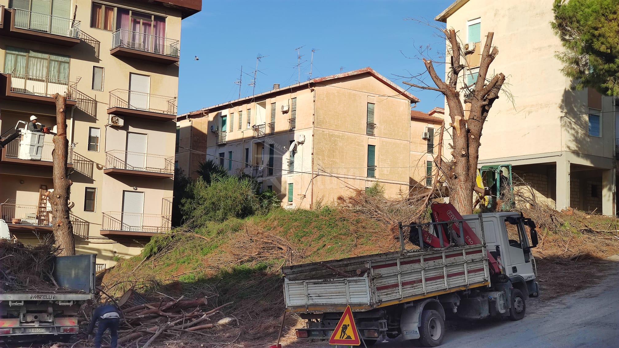 Albero abbattuto in via Nastasi, al lavoro per la rimozione di tronco e rami