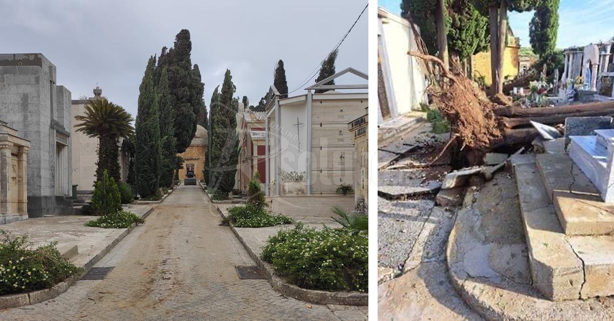 Al cimitero di Santa Margherita Belice rimossi gli alberi caduti sulle tombe