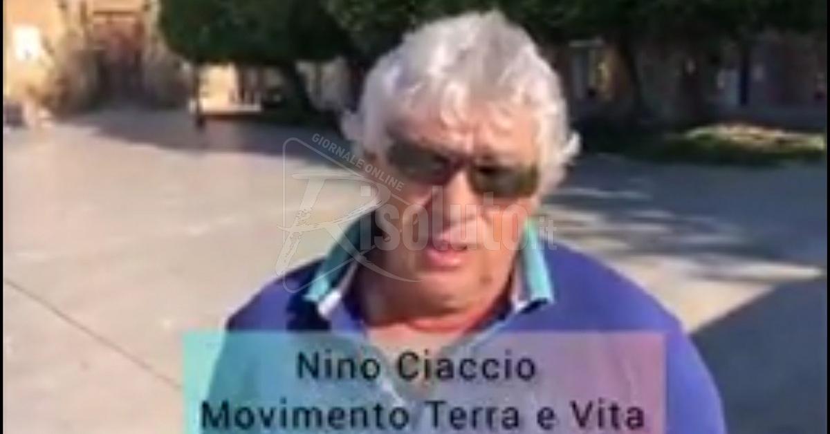 Gli olivicoltori: "Il prezzo dell'olio non possono stabilirlo i commercianti" (Video)