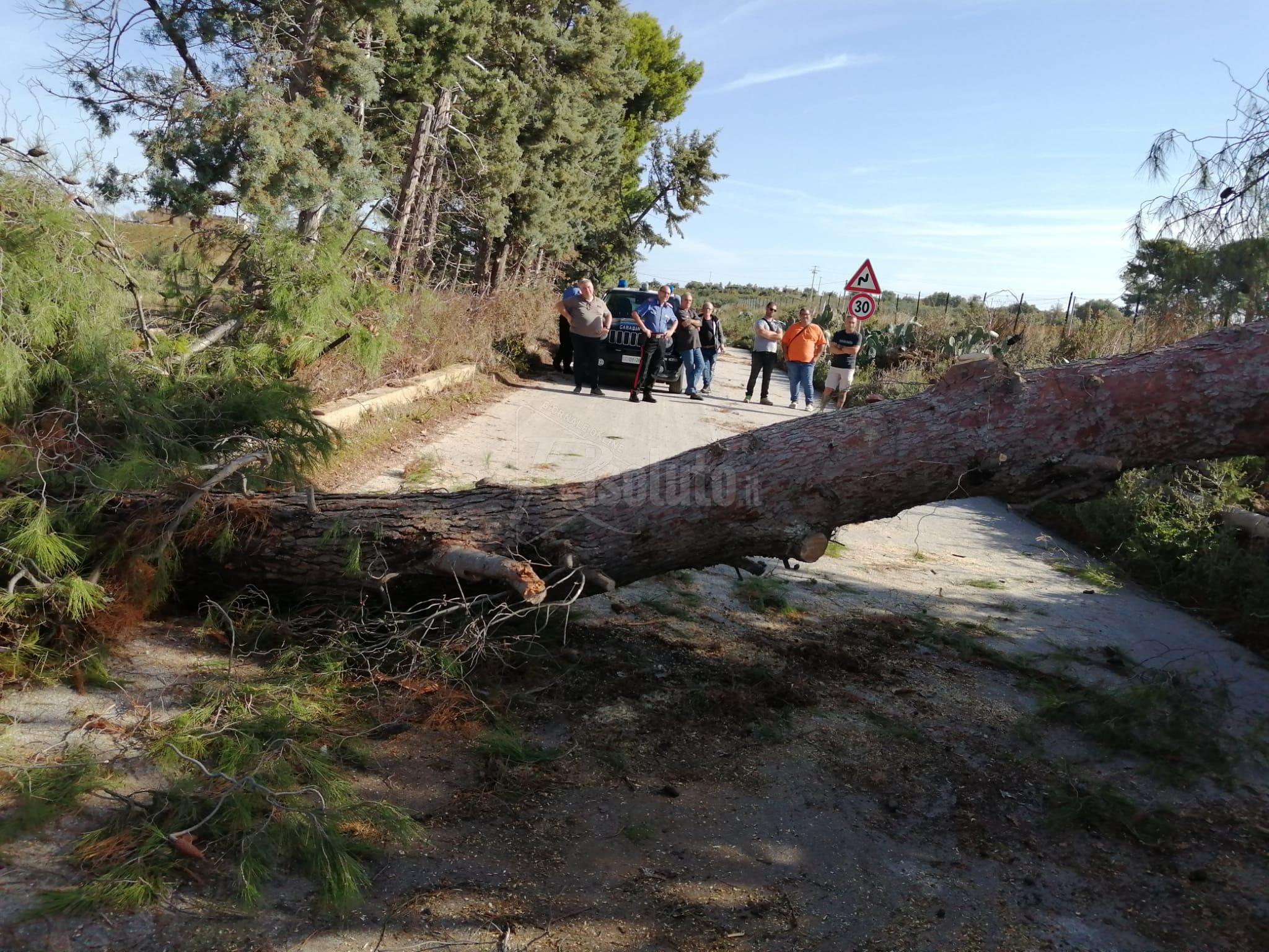 Strada provinciale bloccata a Montevago, smottamenti e disagi