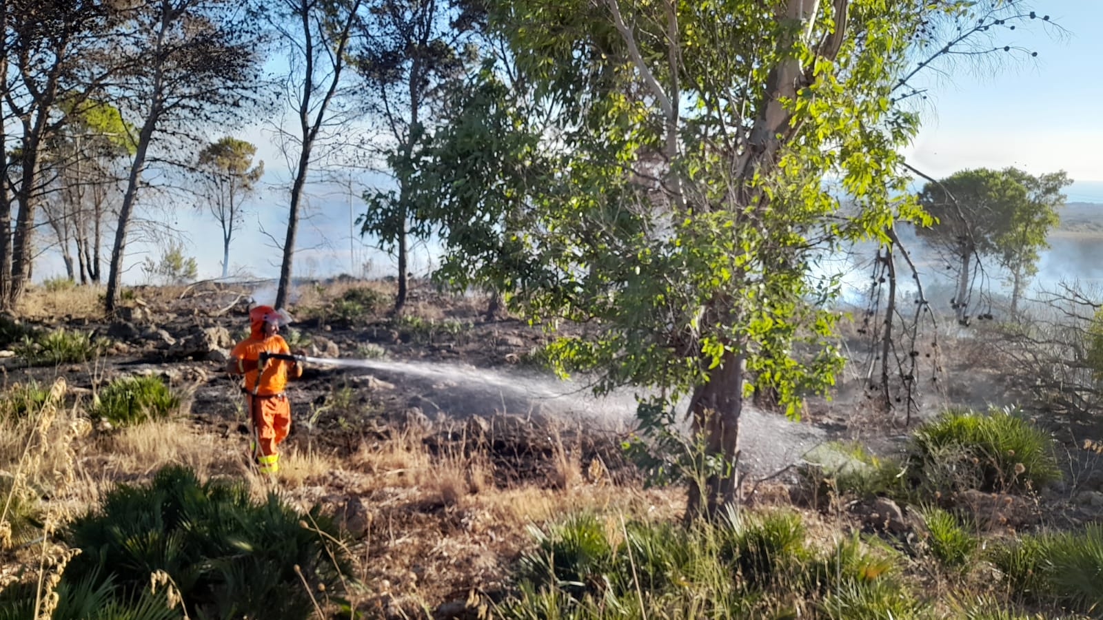 Oggi incendi e mezzi aerei in azione a Menfi, Sambuca e Palazzo Adriano (Video)