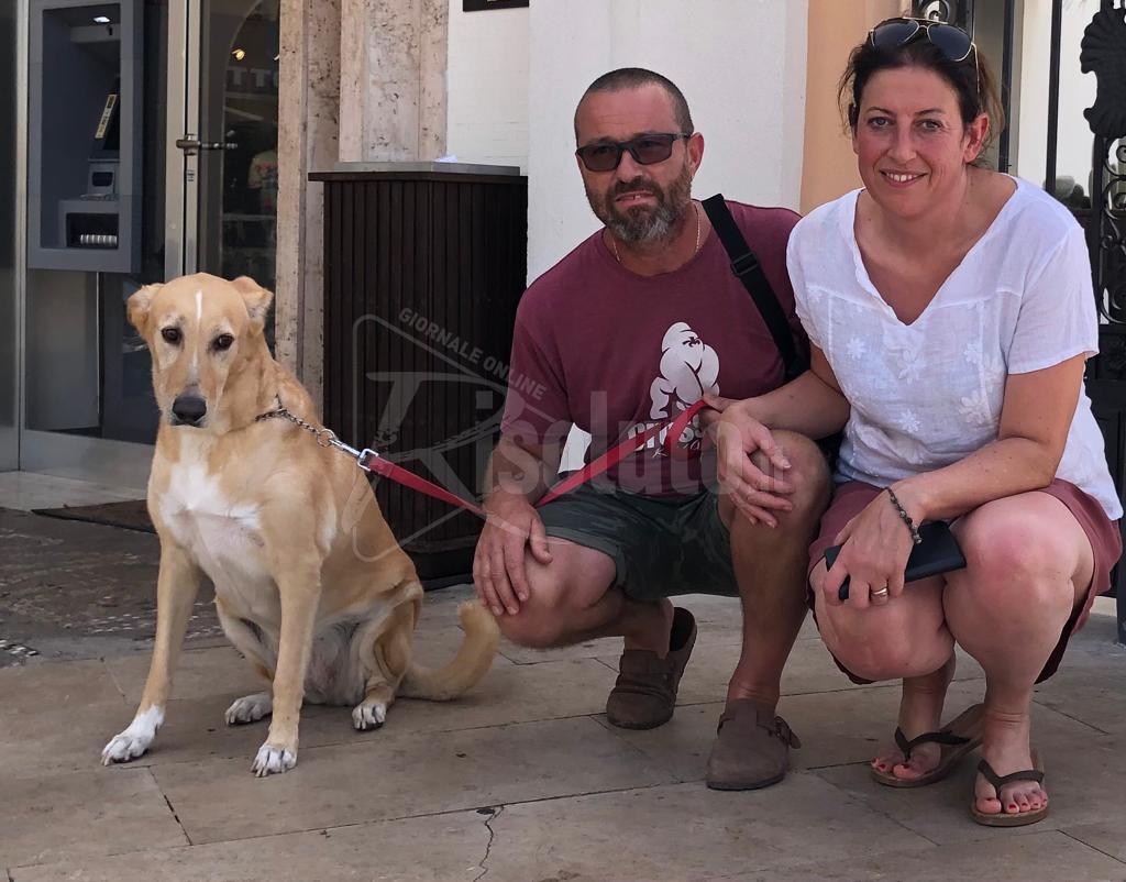 Da Belluno a Sciacca per adottare un cane randagio  (Video)