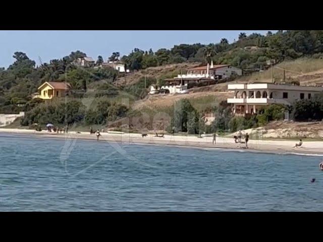 Cinghiale in spiaggia spaventa i bagnanti  alla Foggia di Sciacca (Video)