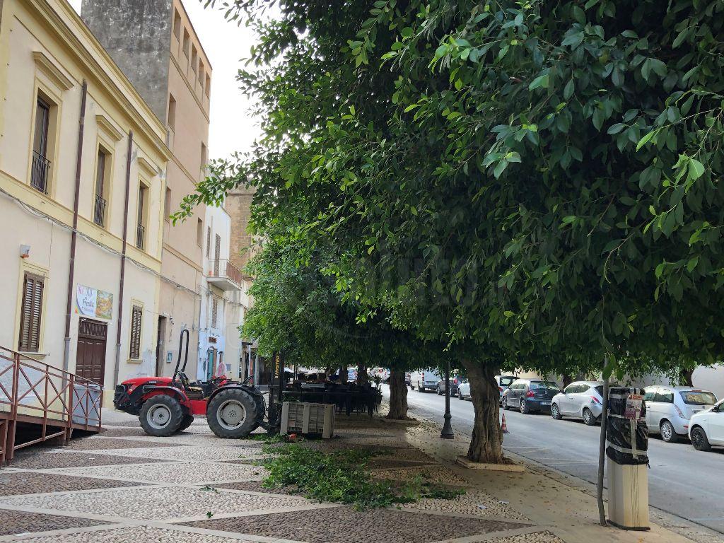 Cittadinanzattiva presenta a Sciacca un progetto sul verde pubblico