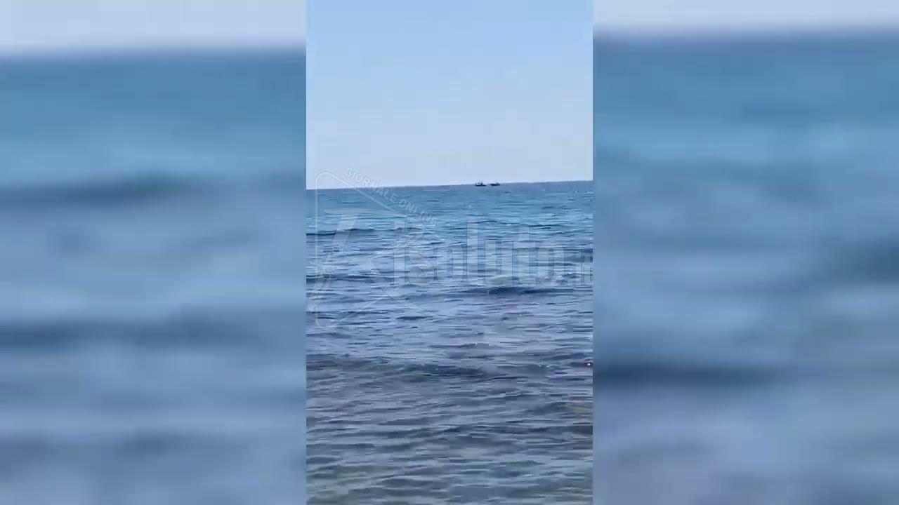 Due cinghiali in mare a Timpi Russi, uno recuperato morto dalla Guardia Costiera (Video)