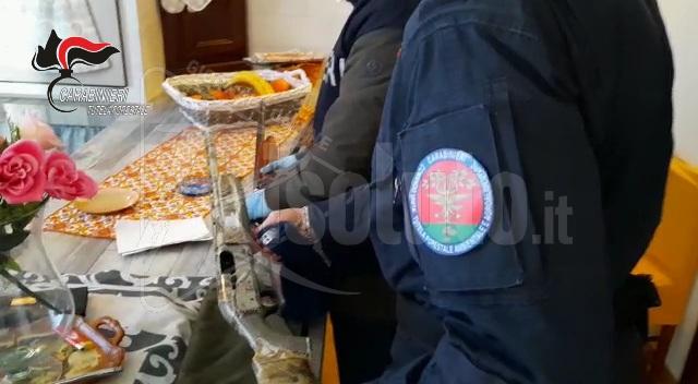 Cicogna bianca uccisa a Marsala, due indagati