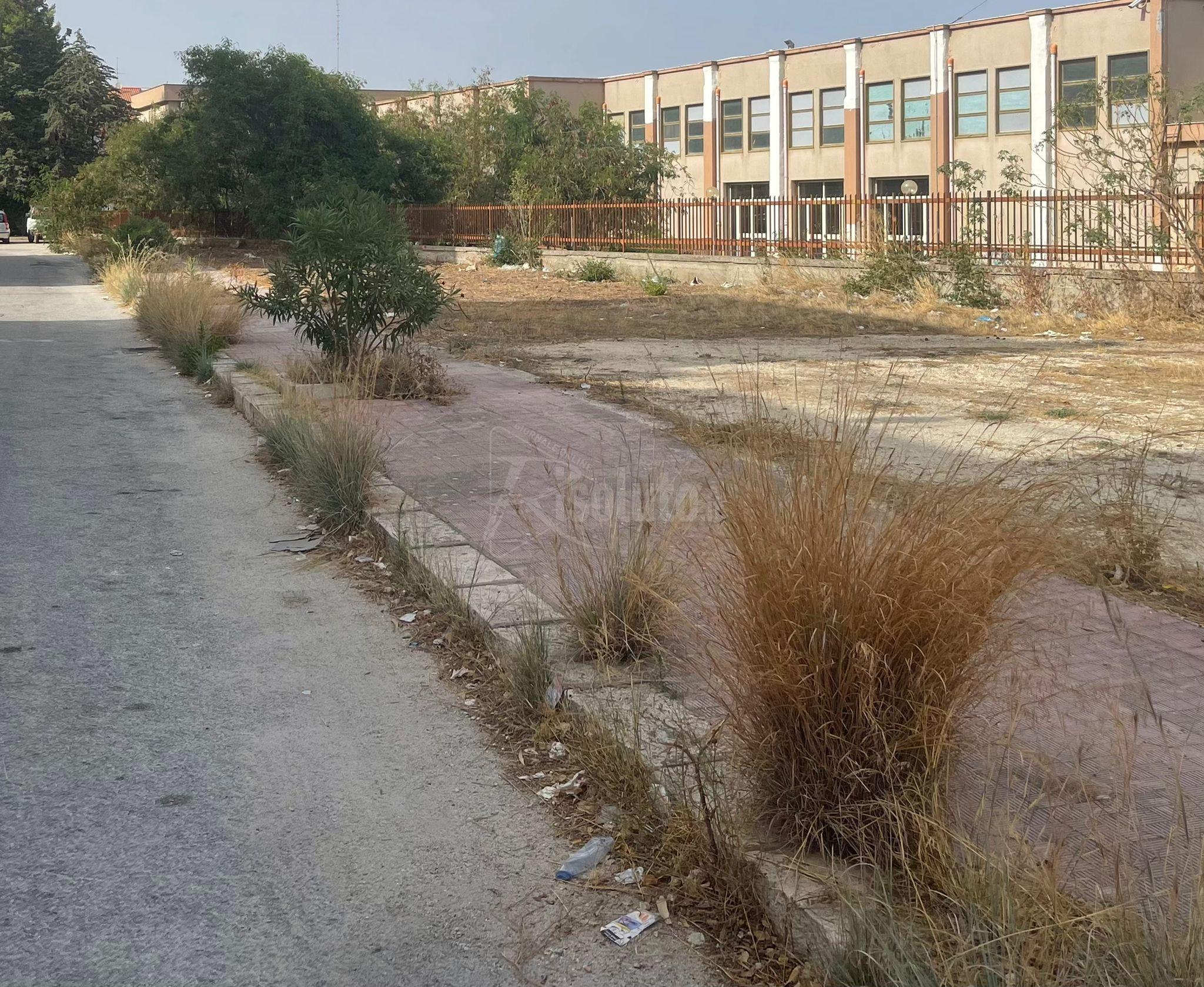 Urgente scerbatura vicino edifici scolastici, la richiesta di due consiglieri comunali