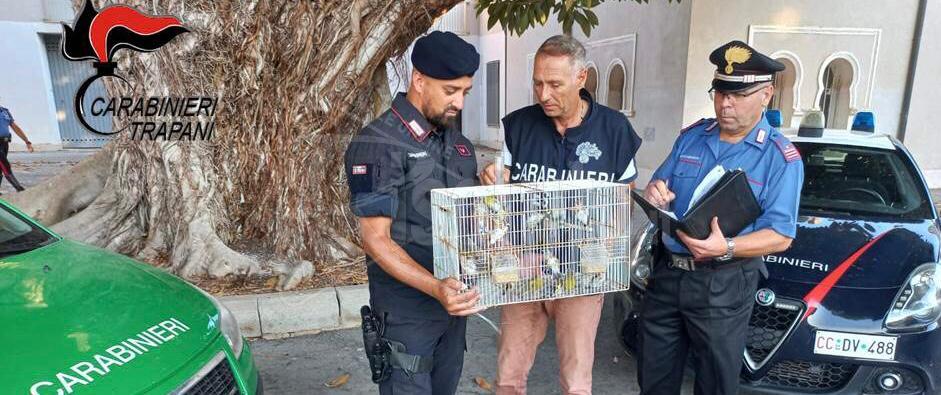 Marsala, cani denutriti e uccelli di specie protetta in gabbia: denunciato