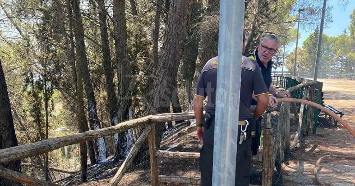 Incendio al Villaggio della Gioventù di Raffadali (Video)