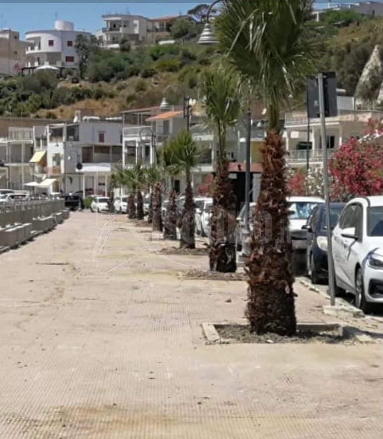 Navetta gratuita del Comune di Ribera per Seccagrande e Borgo Bonsignore