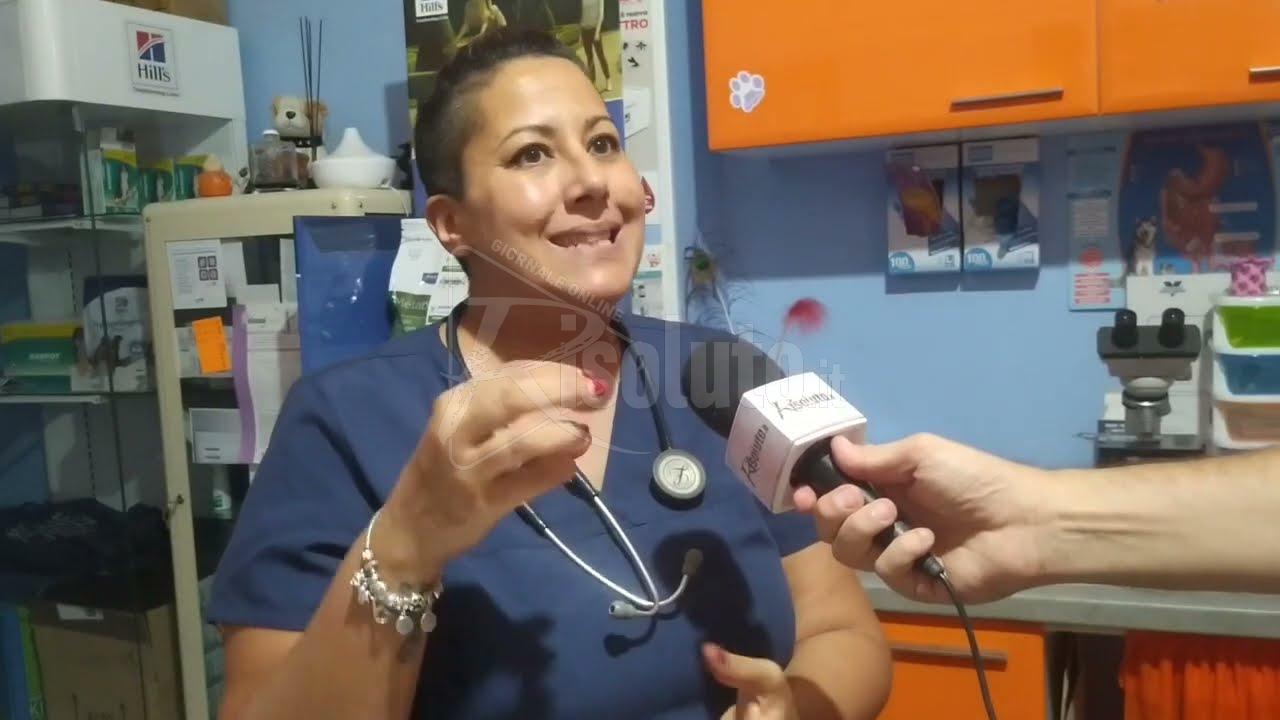 Randagismo a Sciacca, ancora tante criticità   (Video)