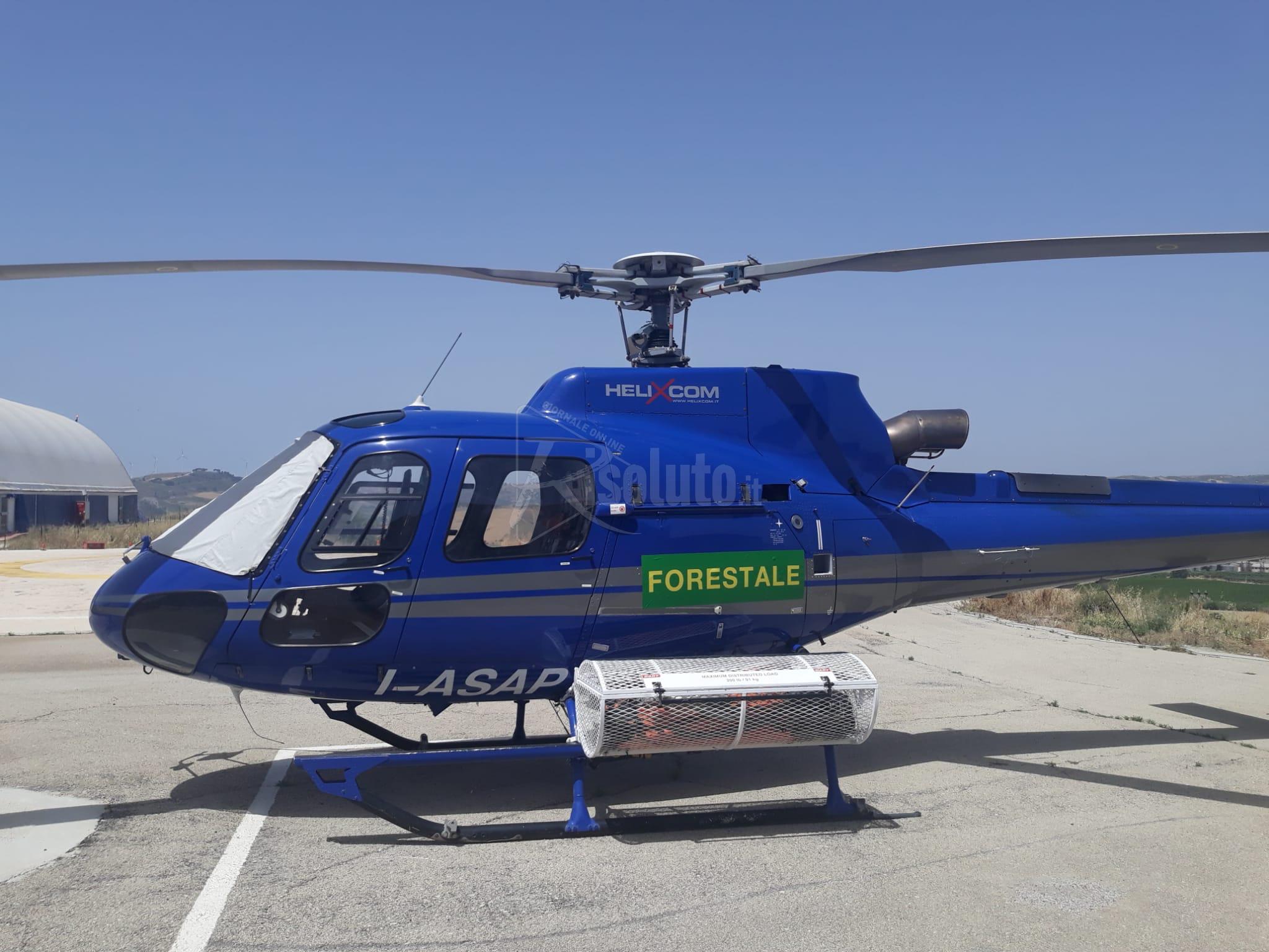 Vasto incendio a Grattavoli, domato grazie al Corpo Forestale