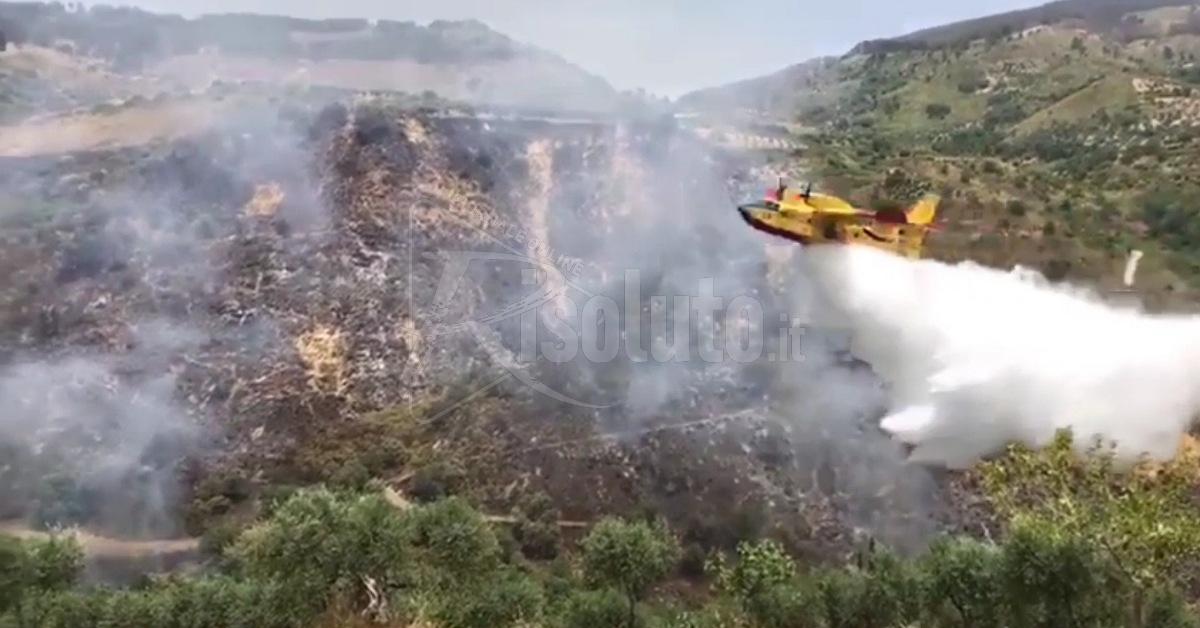 Incendio oggi a Burgio, canadair in azione (Video)
