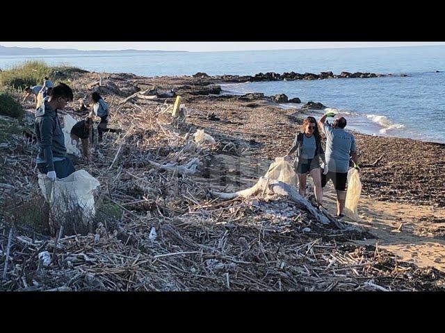 Staff del Torre del Barone pulisce la spiaggia (Video)