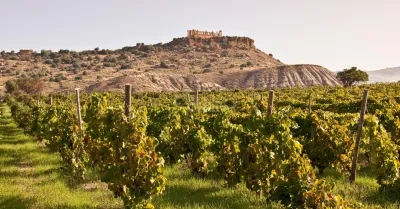 Fileno di CVA Canicattì, miglior vino bianco d'Italia