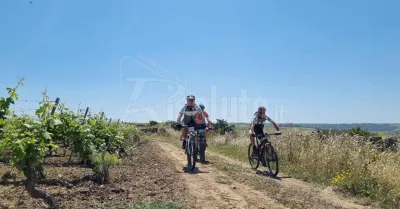 Sabato al via a Menfi la Inycon Bike Junior MTB Race