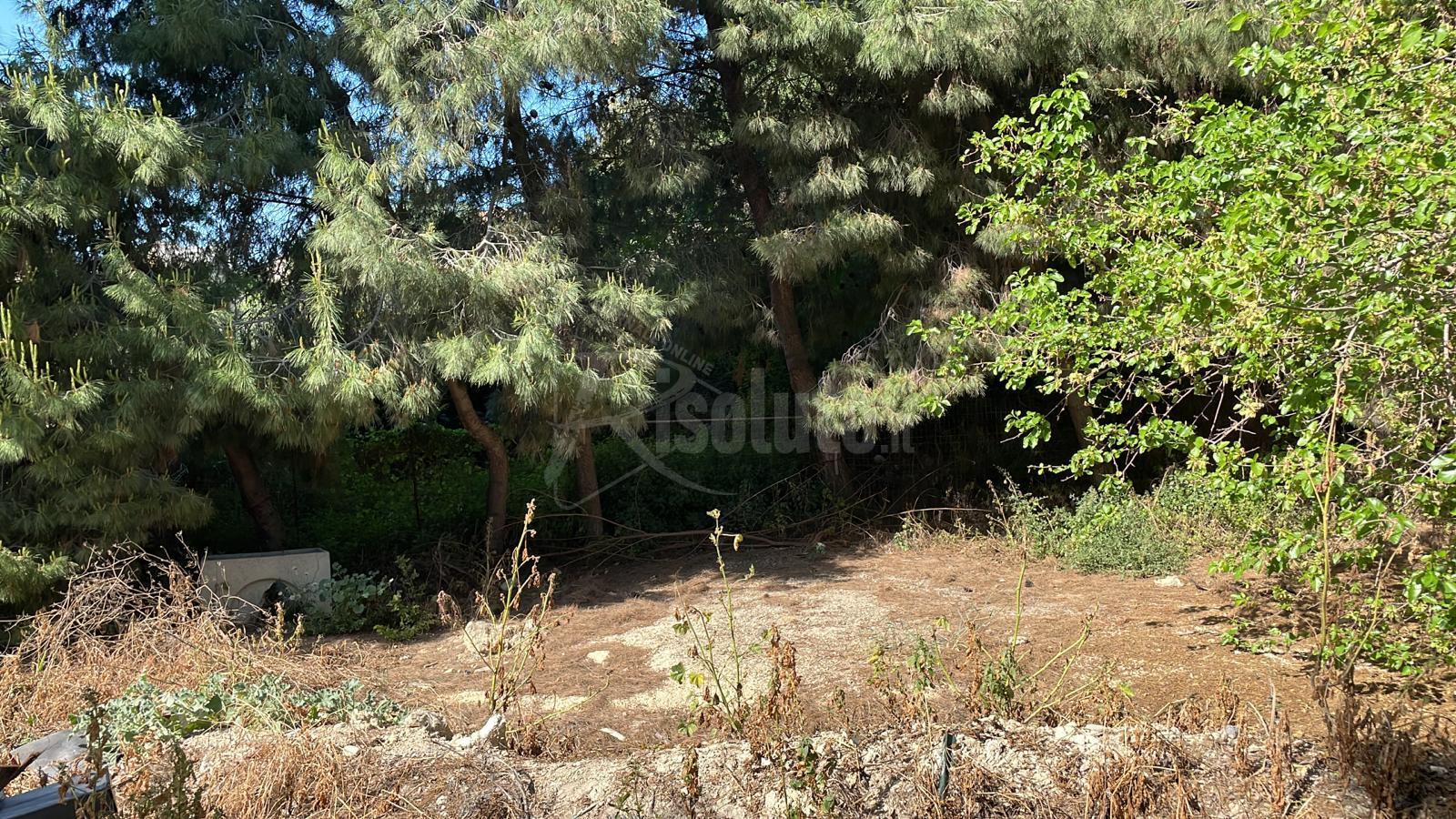Sciacca, disposta l’autopsia per La Rosa