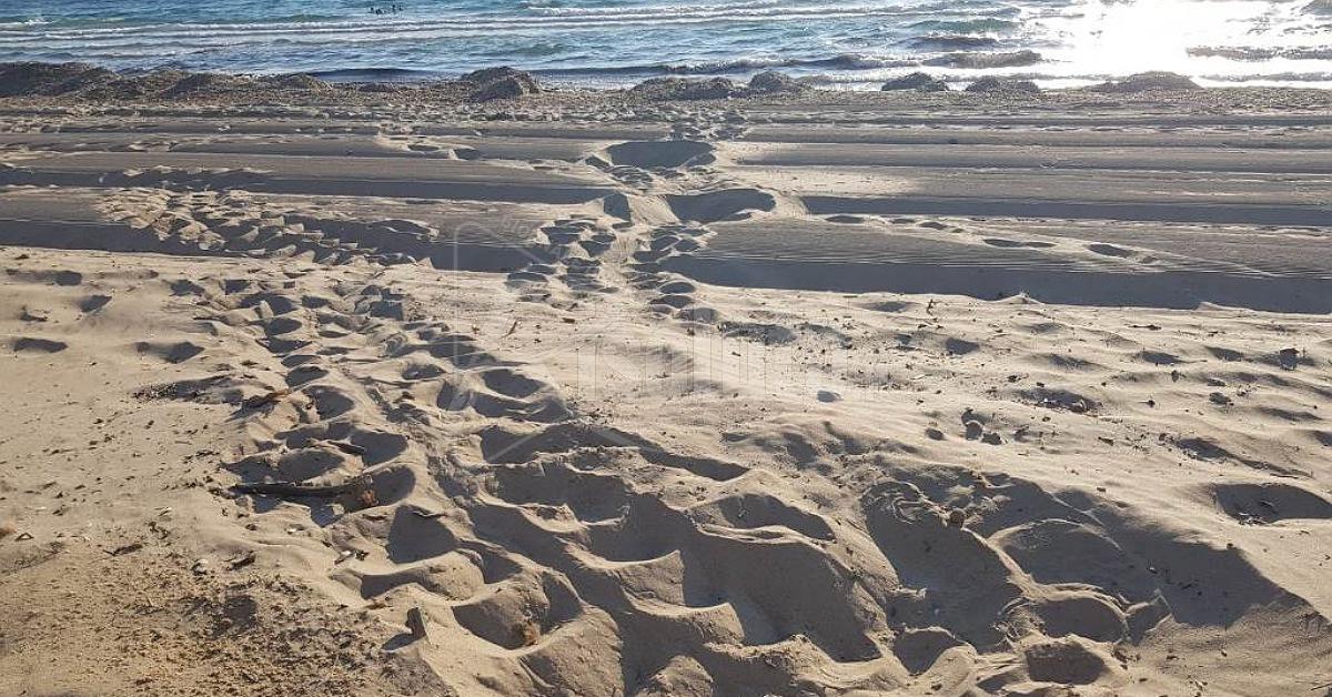 Il Wwf: "Non spianare le dune come tavole di biliardo"