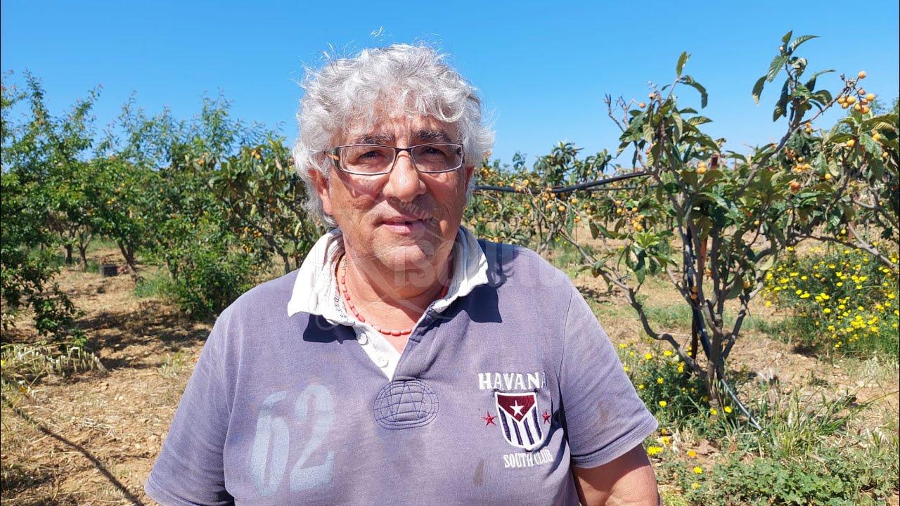 Caro gasolio e protesta dell'agricoltura  (Video)