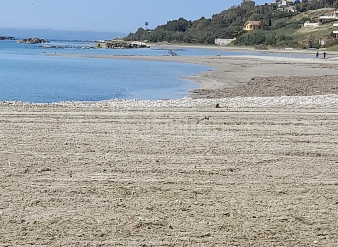 Avviata oggi a Sciacca la pulizia delle spiagge