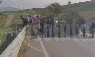 Raffiche di vento e alberi cadono sulla Fondovalle