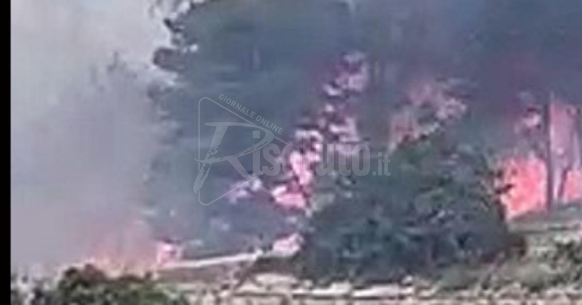 Incendio minaccia Erice, chiesto l'intervento dei canadair