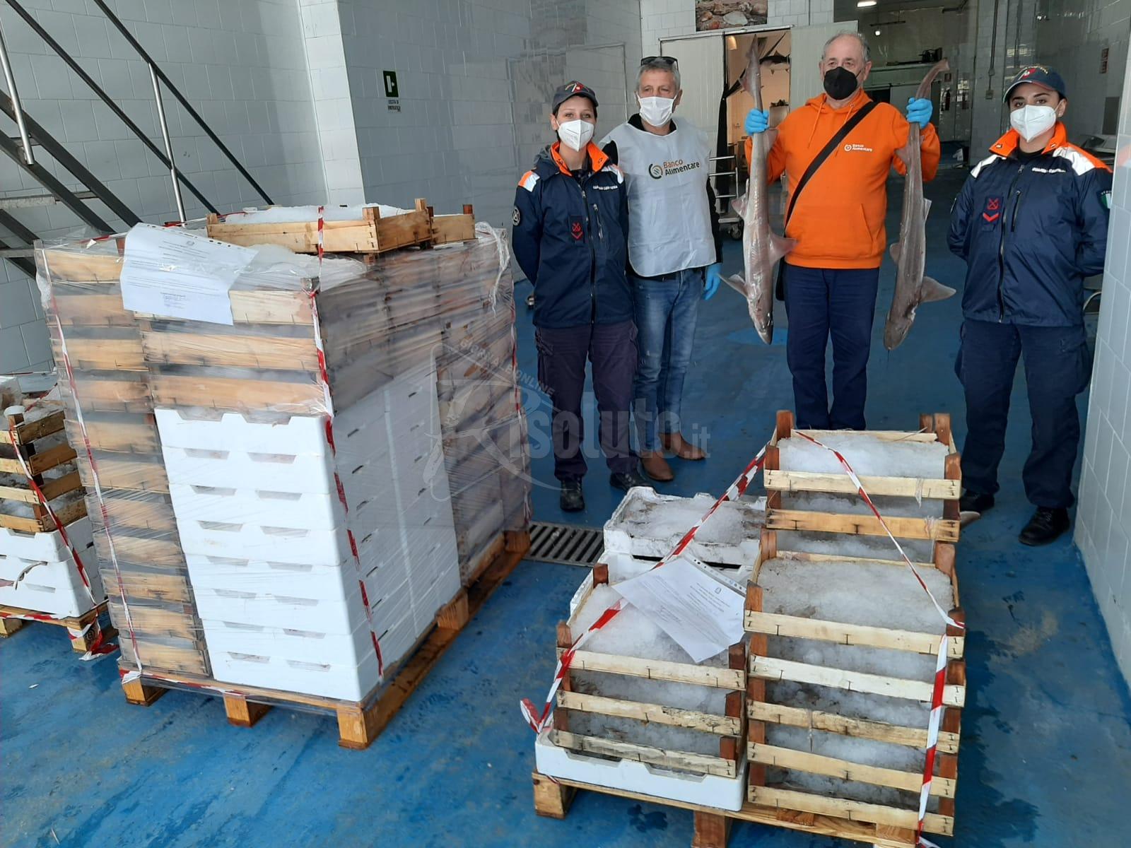 Guardia Costiera di Sciacca, sequestrati 9 quintali di prodotto non tracciato ed elevate sanzioni per oltre 4 mila euro
