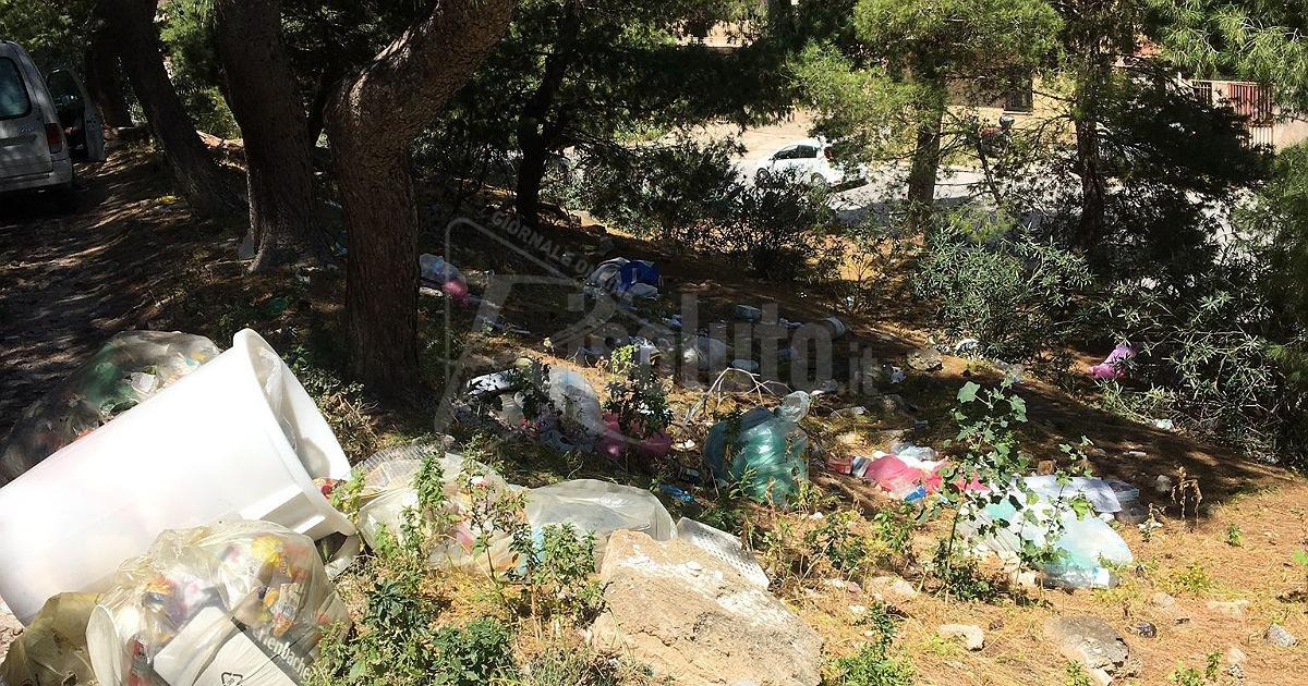 Pineta dinnanzi l'ex mattatoio comunale sprofonda nuovamente nel degrado