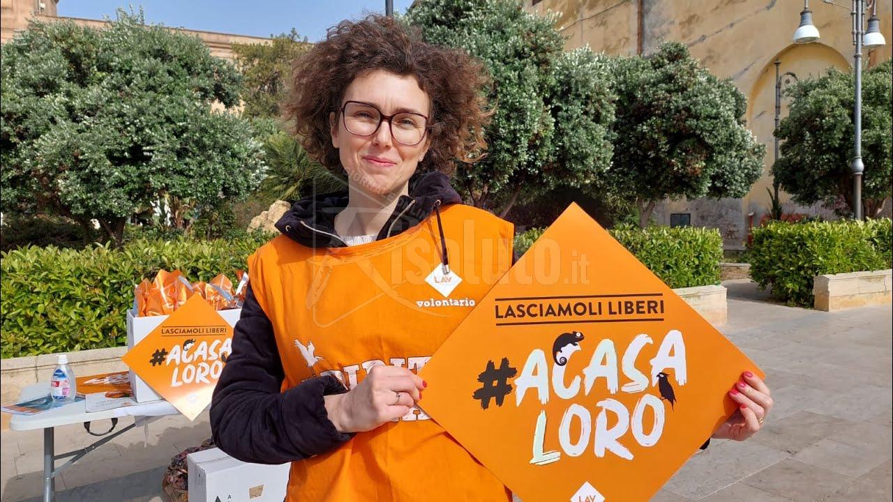 Sciacca contro il commercio degli animali esotici (Video)