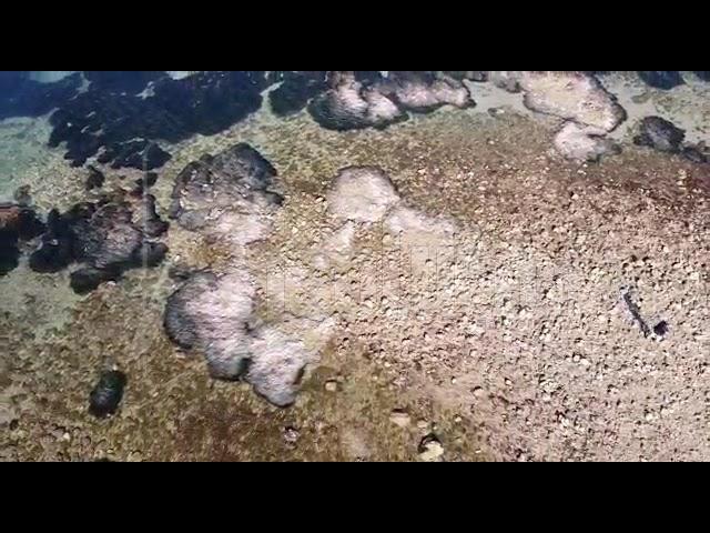 Anomalo abbassamento della marea nella spiaggia di San Giorgio a Sciacca (Video)
