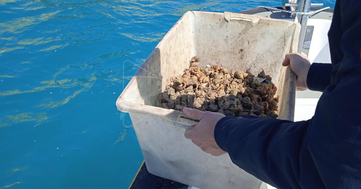 Pesca sportiva subacquea abusiva a Sciacca, sequestro