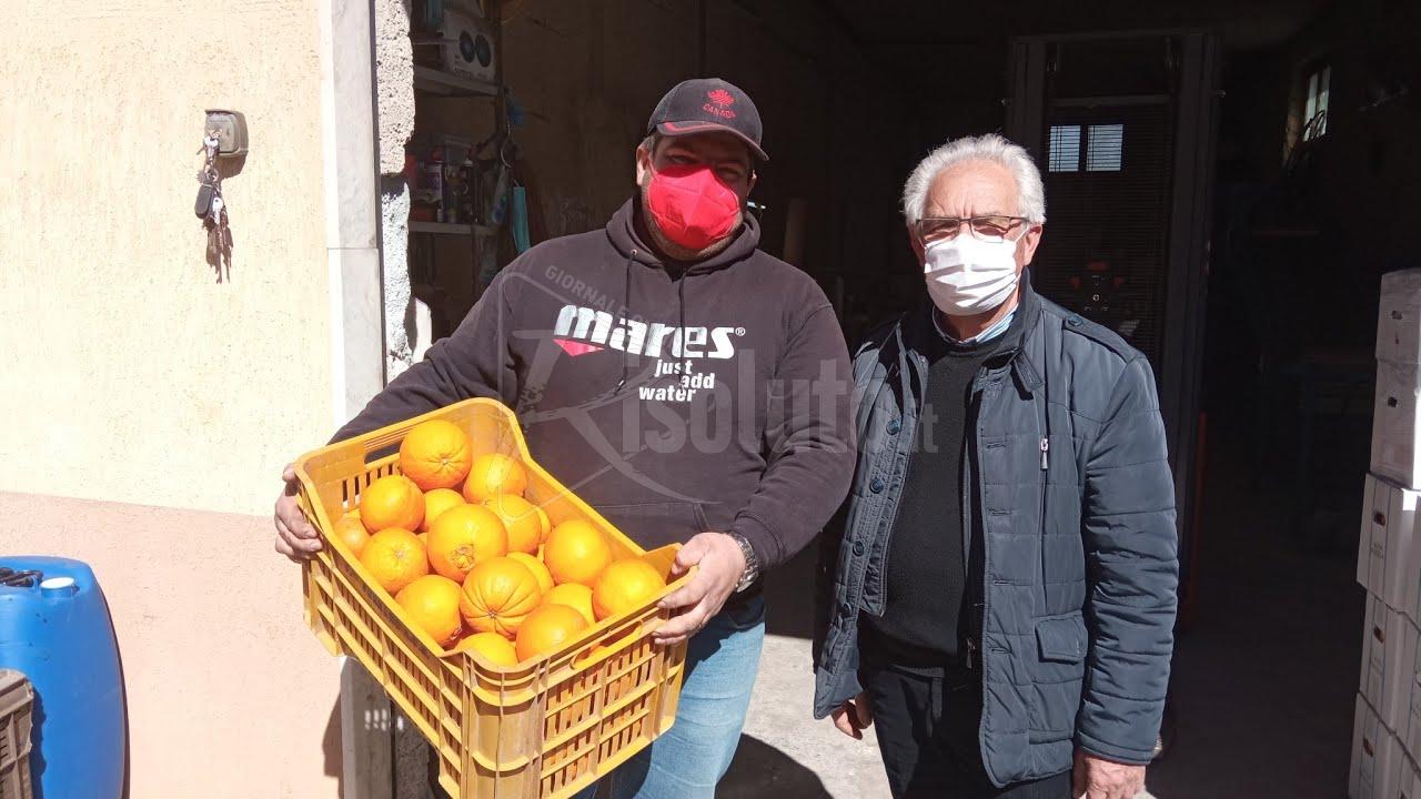 Caro gasolio: fermi i tir da 48 ore, il produttore Palermo: "Giusti i motivi, ma le  nostre arance penalizzate" (Video)