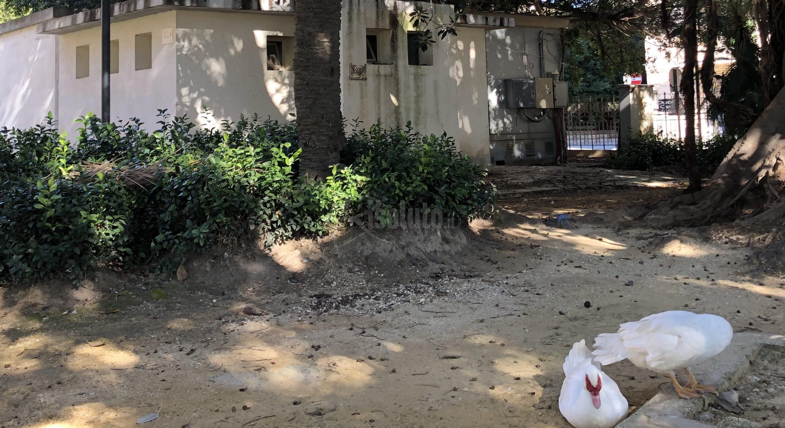 Finalmente i lavori per riaprire i servizi igienici della villa comunale di Sciacca