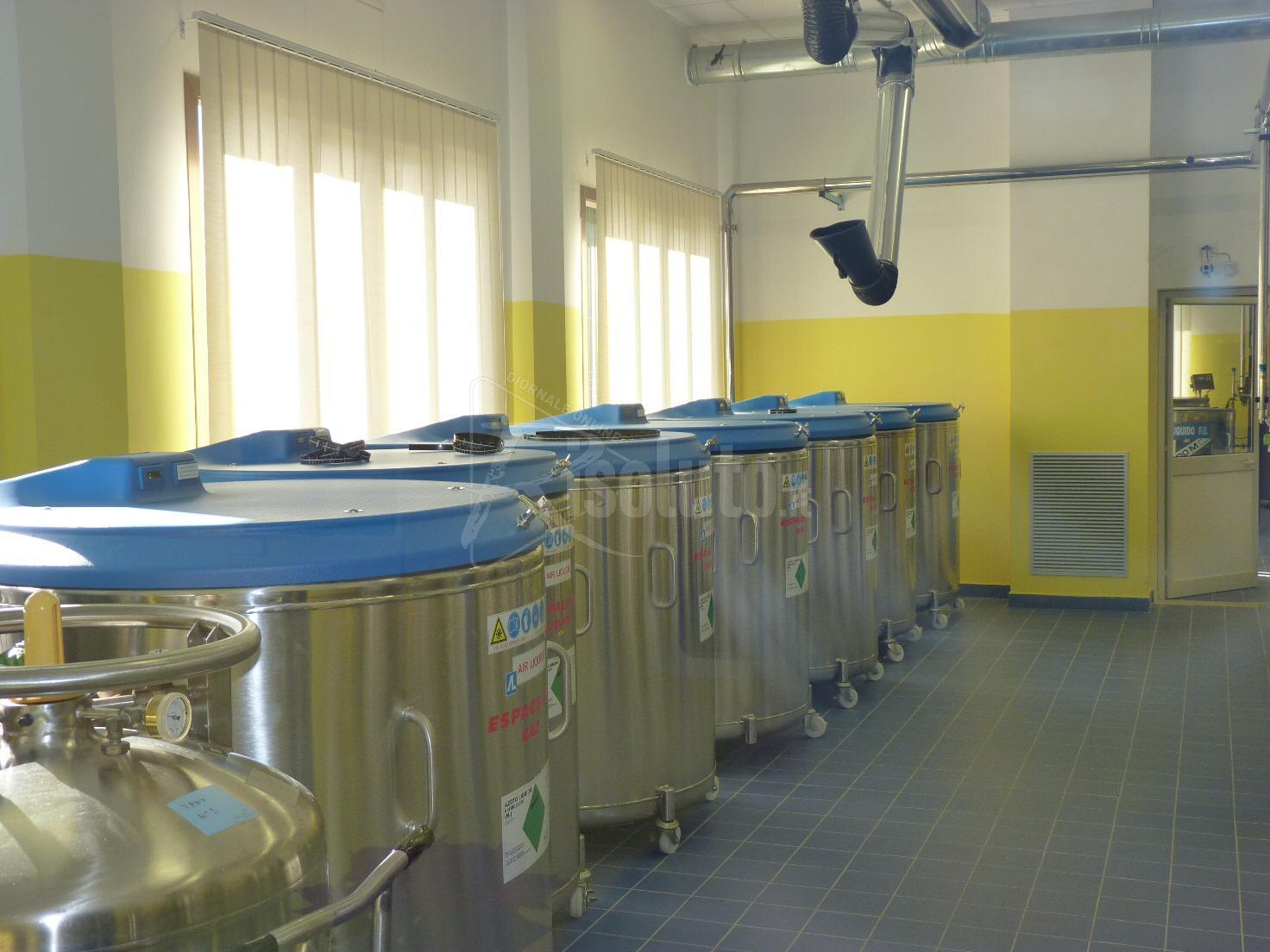 Staminali in partenza dalla Banca del cordone ombelicale di Sciacca per la Lombardia, cureranno una donna affetta da leucemia