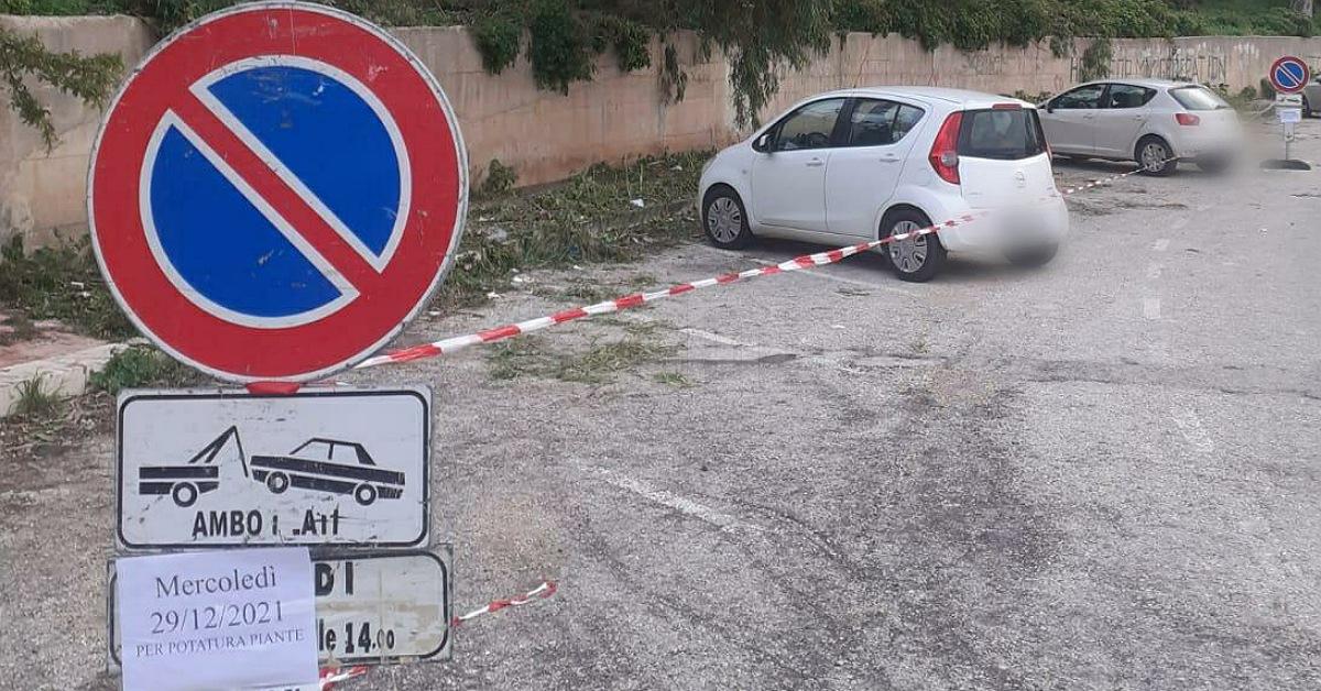 Parte a Sciacca il servizio di potatura alberi da 60 mila euro e gli operai trovano le auto parcheggiate nonostante i divieti