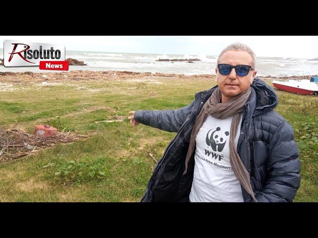I danni ambientali alla Foggia, il biologo marino: "Necessario monitoraggio costante di fiumi e torrenti" (Intervista)