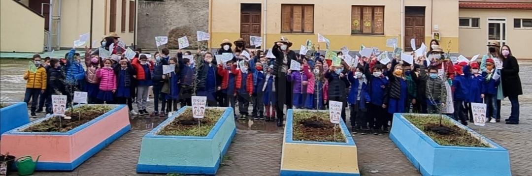 Sciacca, piantumati alberi di ulivo alla scuola Sant’Agostino in occasione della Festa dell'Albero