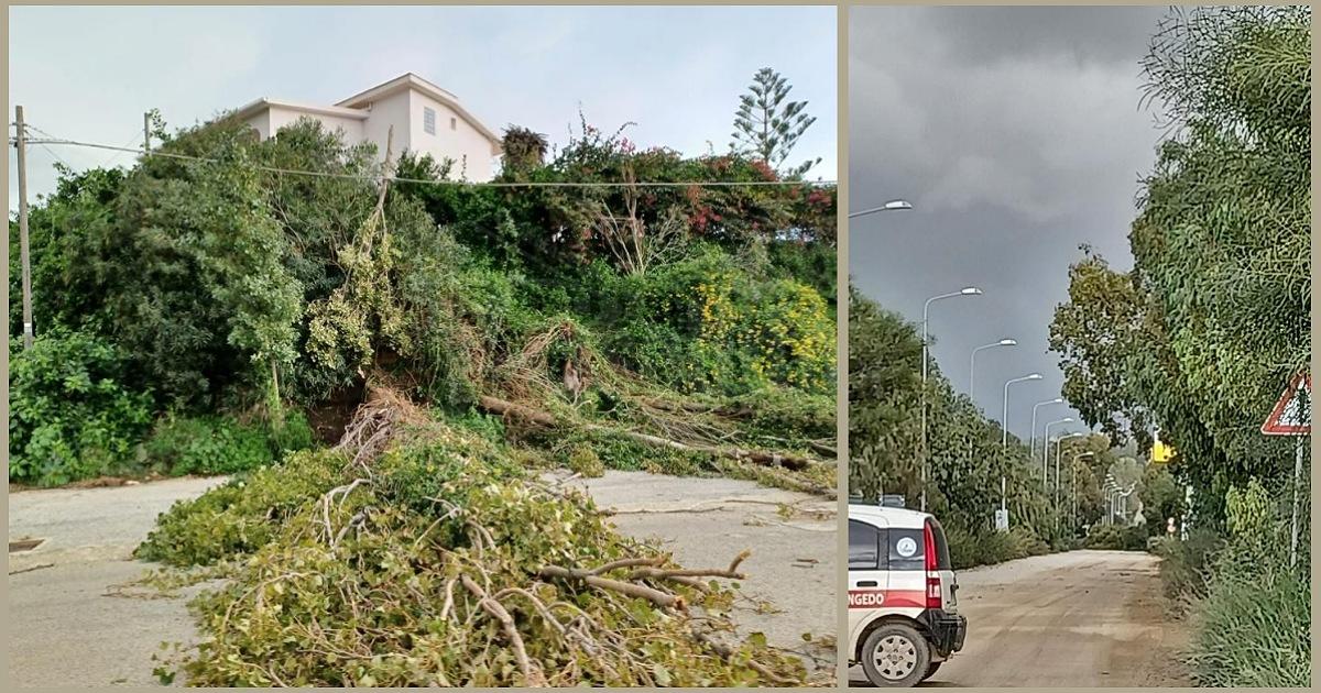 Alberi abbattuti dal vento, chiusa tutta la variante Foggia a Sciacca