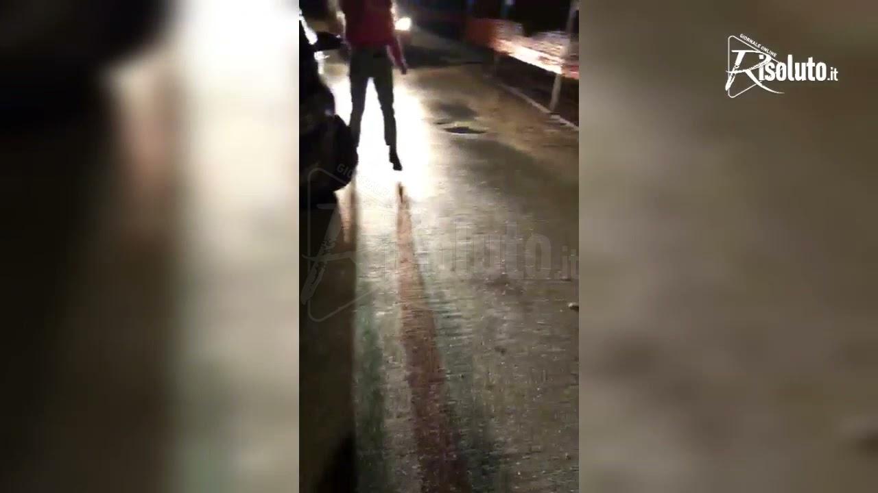 Zeus, il cane di Sciacca che si e' salvato in mare attaccato alla  barca del padrone (Video)