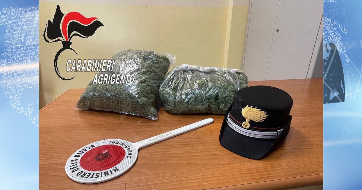 Serra di canapa indiana con 30 piante, due arresti dei carabinieri