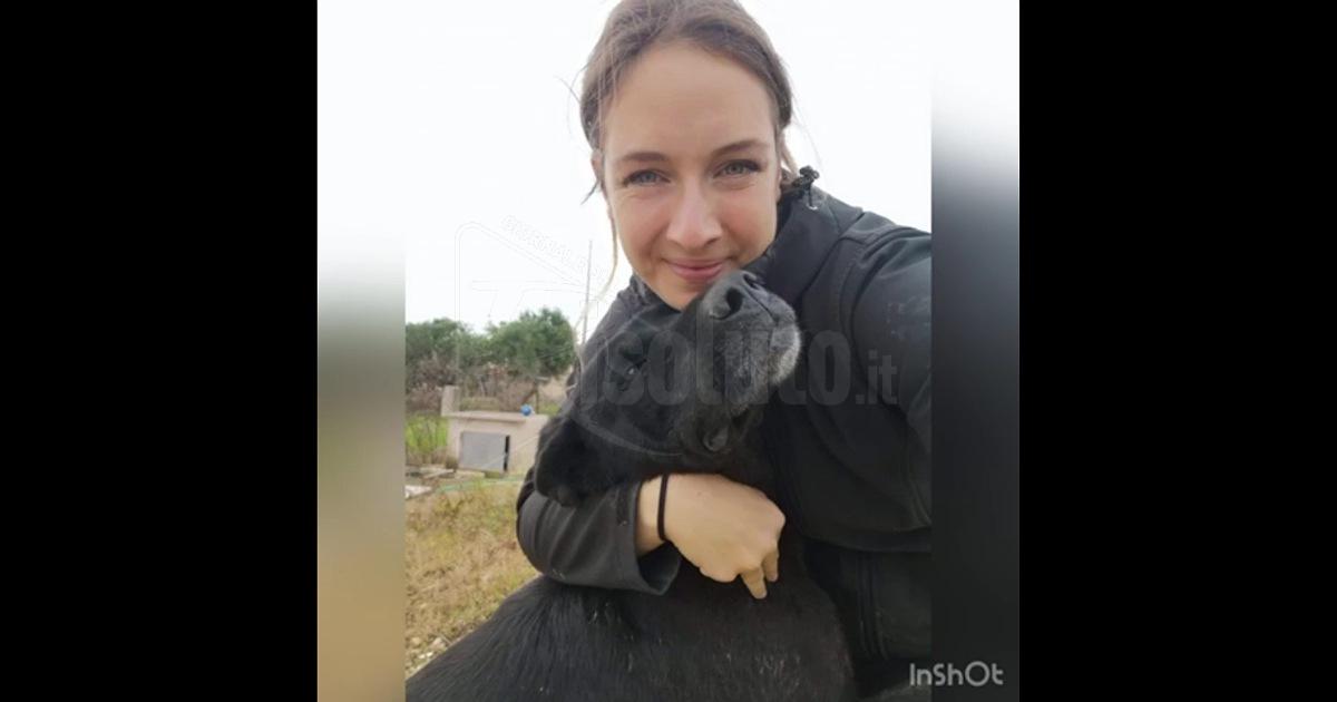L'appello di Hot Dogs Rescue di Menfi: "Troviamo un'adozione per Blackie"