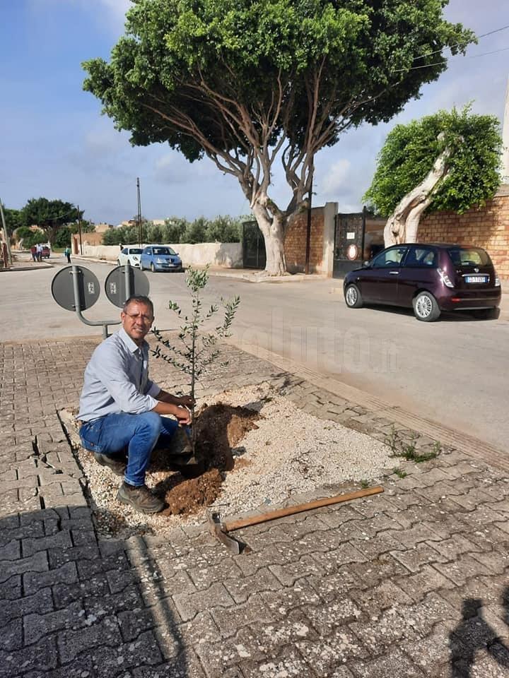 Il Comune di Menfi sceglie l’area cimiteriale per i nuovi alberi di ulivo