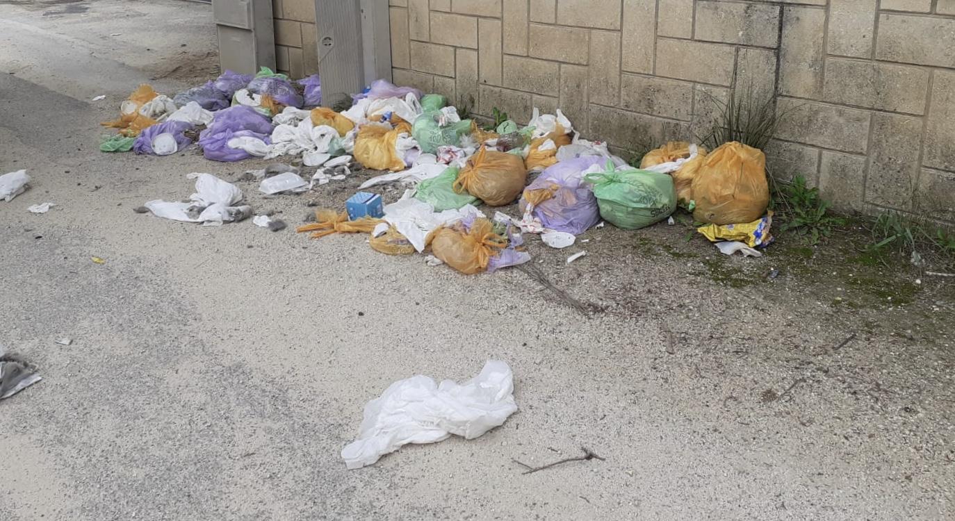 In via Fontana Calda a Sciacca c’è chi non utilizza i mastelli per i rifiuti e scatteranno le sanzioni