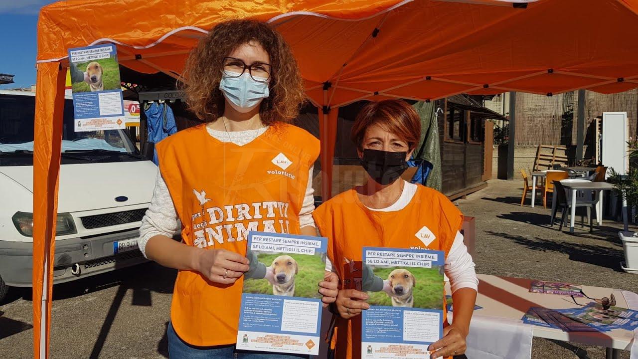 Oggi iniziativa della Lav a Sciacca per la microchippatura dei cani: “Per il randagismo bisogna fare ancora tanto” (Intervista)