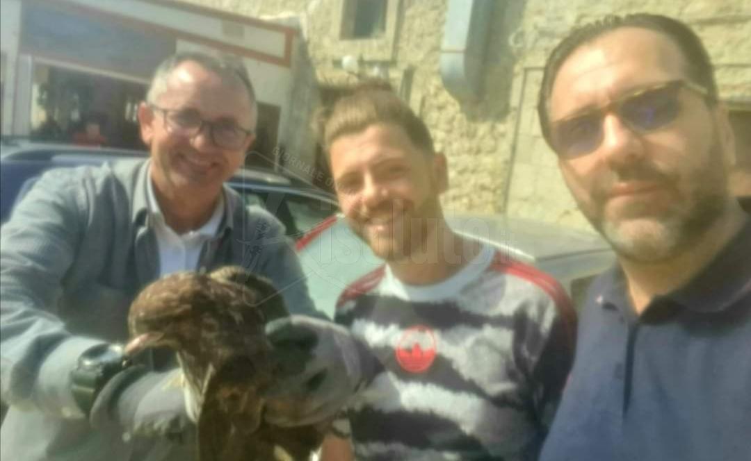 Palma di Montechiaro, il sindaco salva un esemplare di Poiana