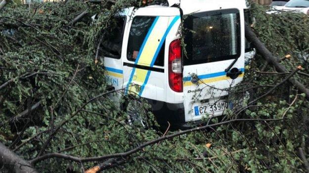 Catania, volontari Protezione Civile in azione per rimuovere rami e alberi dopo maltempo, ma gli rubano la motosega