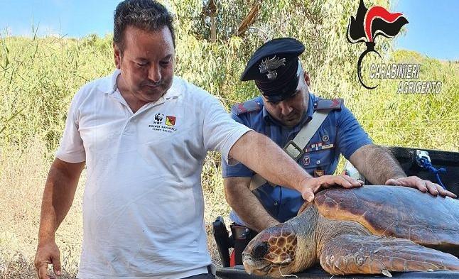 Un carabiniere salva una tartaruga "Caretta-Caretta" nelle acque di Torre Salsa